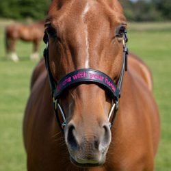 WhatsApp Image 2026-04-16 at 18.25.36